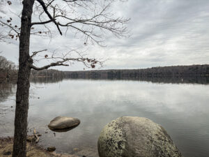 A picture looking out a Mountain Island Lake for Latta Nature Preserve on a winter day.