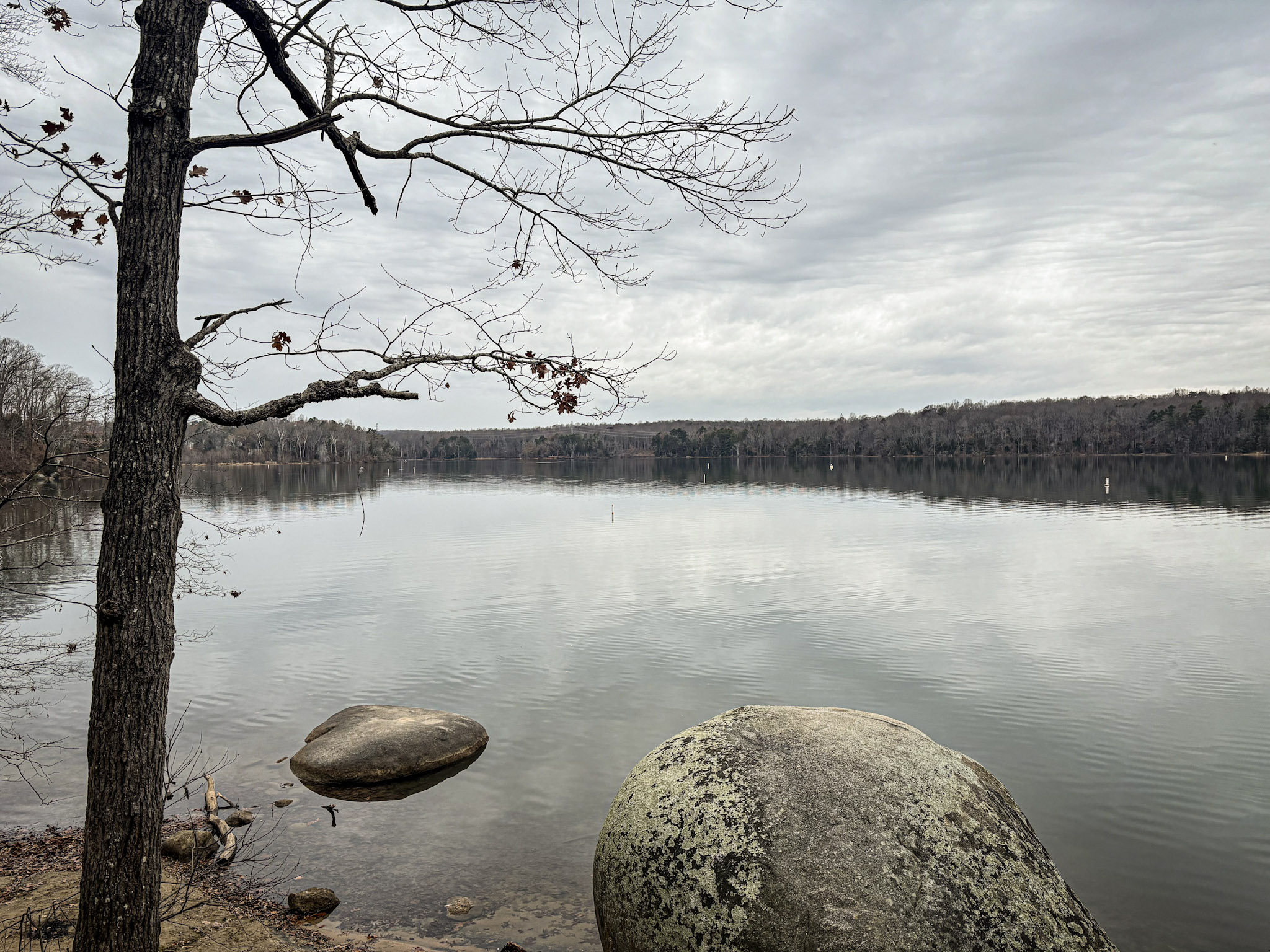 A picture looking out a Mountain Island Lake for Latta Nature Preserve on a winter day.