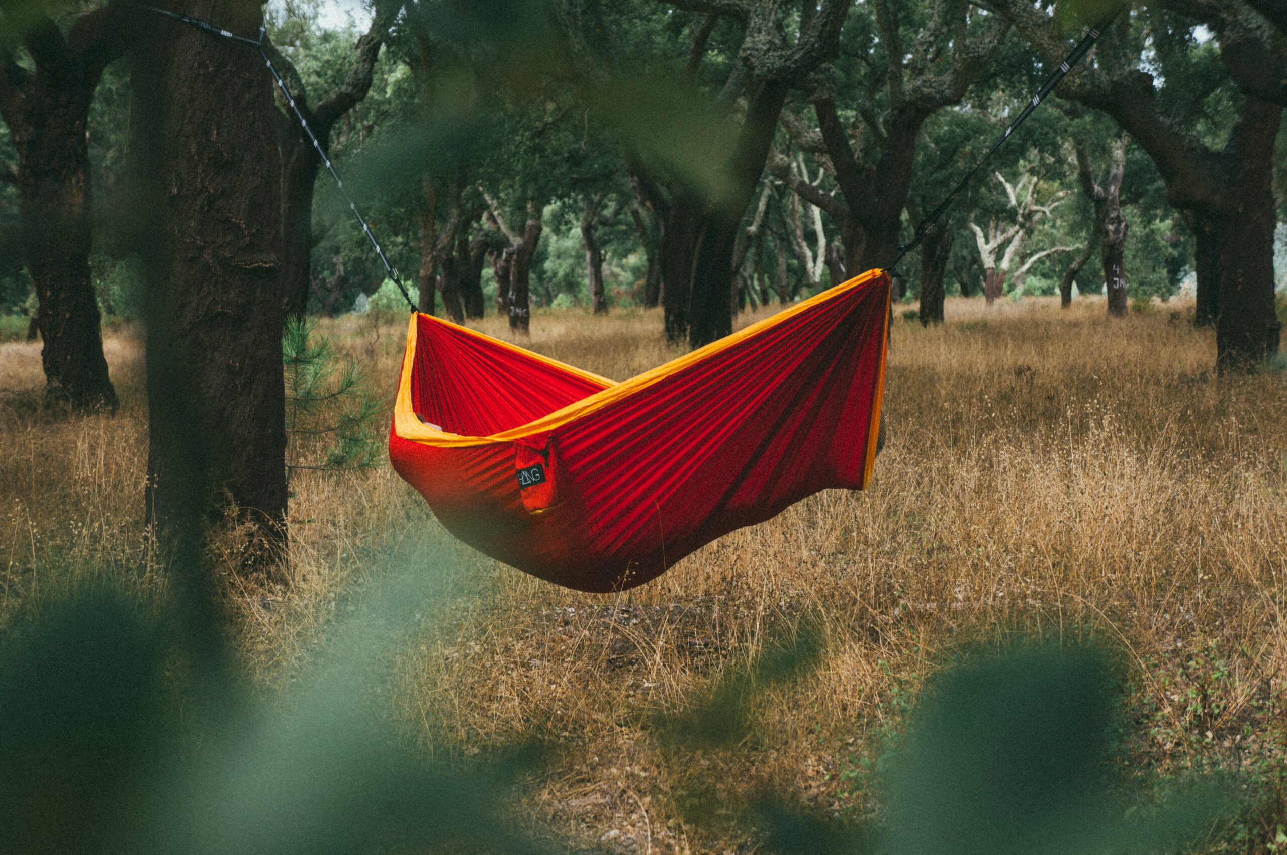 Red hammock hanging in woods.