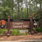 The main entrance sign at Congaree National Park.
