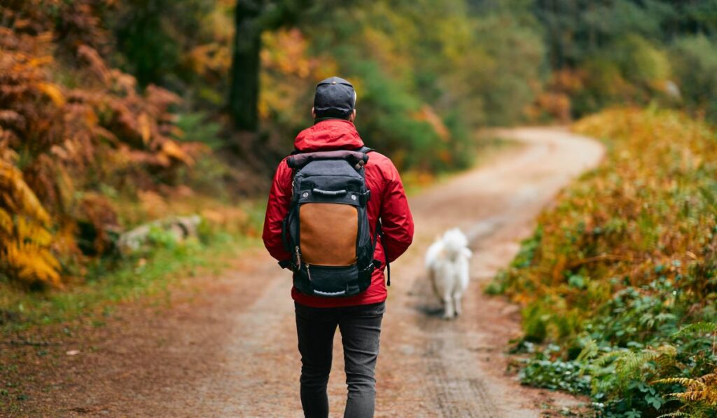 man hiking on trail in fall with dog.